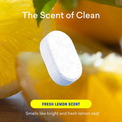 Multi-Surface Cleaner Starter Set