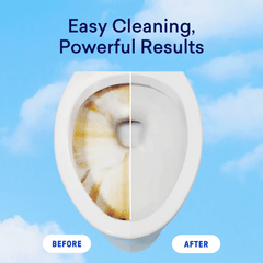 Laundry Detergent & Toilet Bowl Cleaner Kit